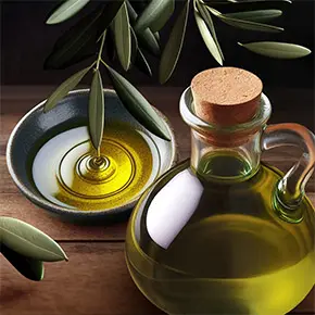 Olive Oil
